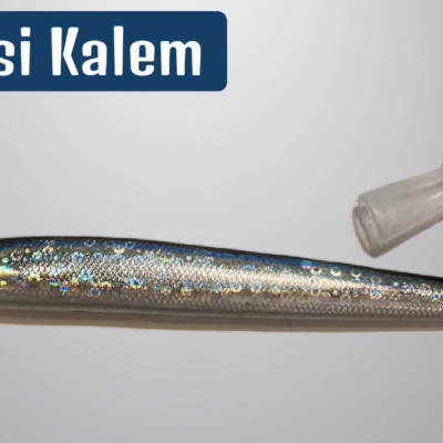 Hamsi Kalem no 2